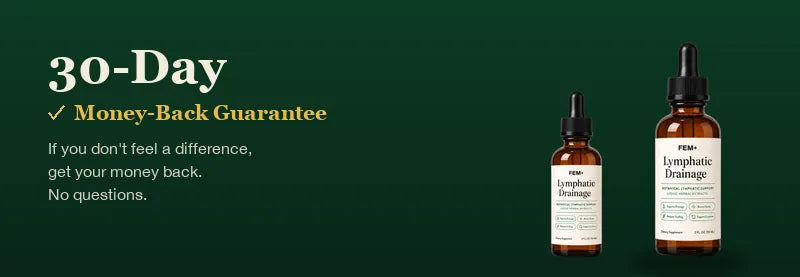 supplements for lymphatic system
